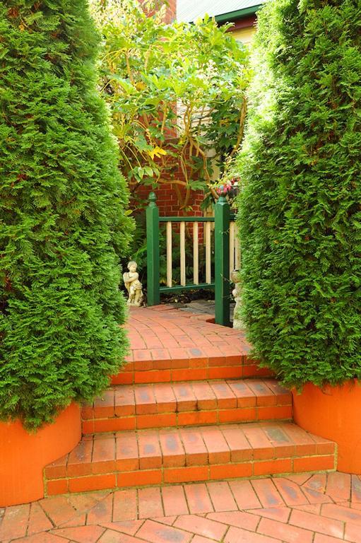 Mary Cards Coach House Bed and Breakfast Olinda Kamer foto